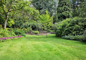 Optimiser l'expérience du jardin à Rouvignies